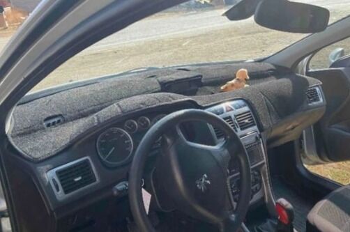 Peugeot 307 (2001-2008) 32-001 Modellerine Uygun Torpido Halısı