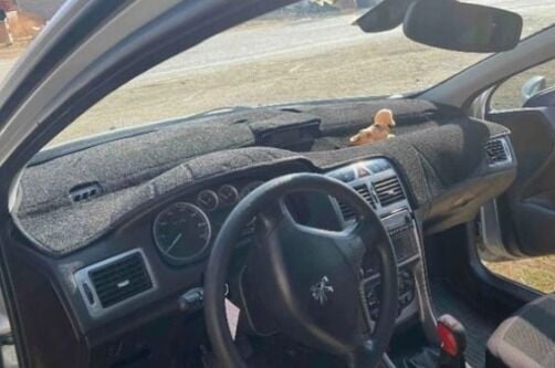 Peugeot 307 (2001-2008) 32-001 Modellerine Uygun Torpido Halısı